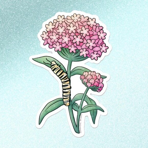 3 for $15 - Milkweed Flower and Monarch Caterpillar Sticker‎ - Waterproof Vinyl - Picture 2 of 4